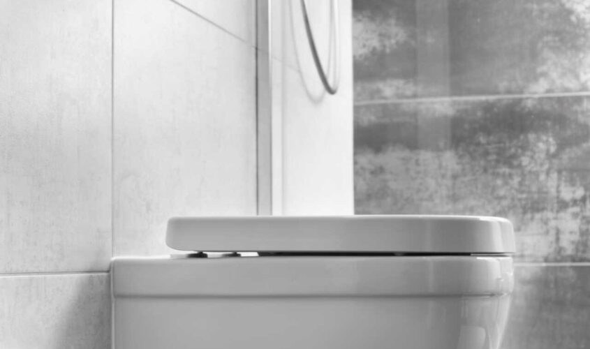 White toilet bowl on the bathroom wall